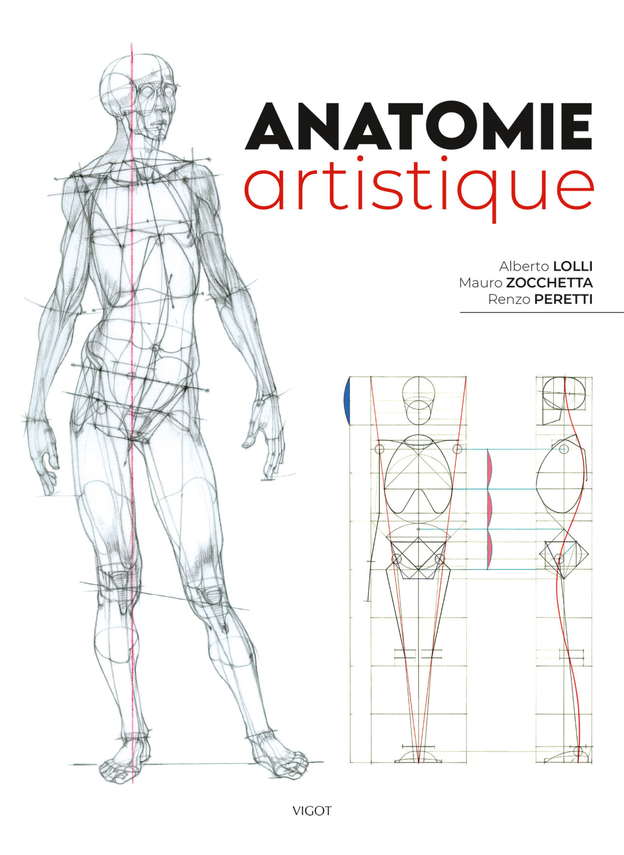 Anatomie Artistique, A. Lolli, M. Zocchetta, R. Peretti, Vigot, 2024.